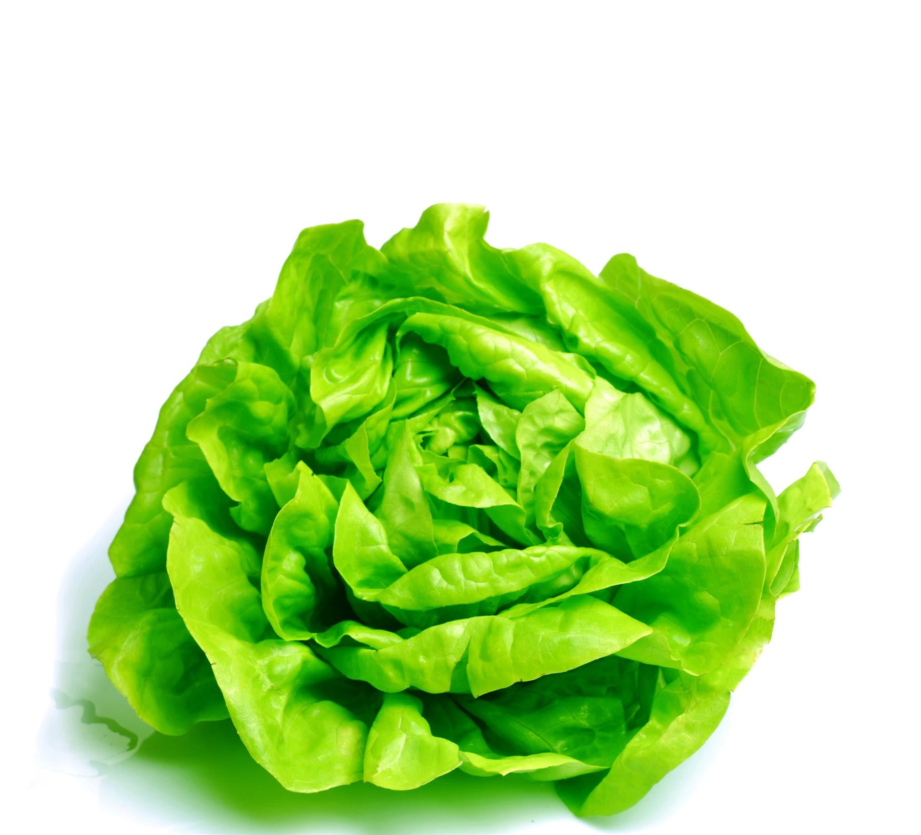 2e5fb71c-62e5-4764-ac0a-caec36eb2548_1.jpg