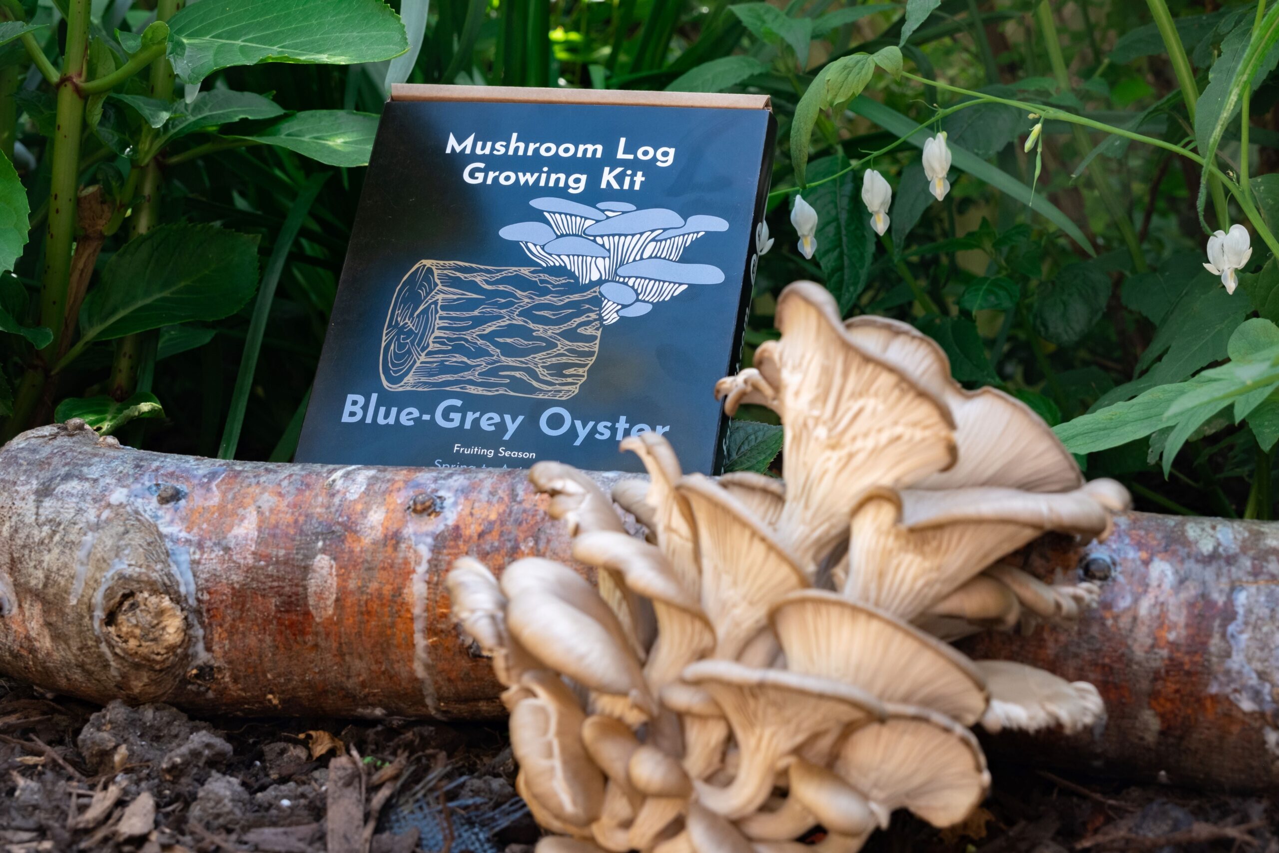 LS0LogKitsBlueOysterresize-scaled-1.jpg