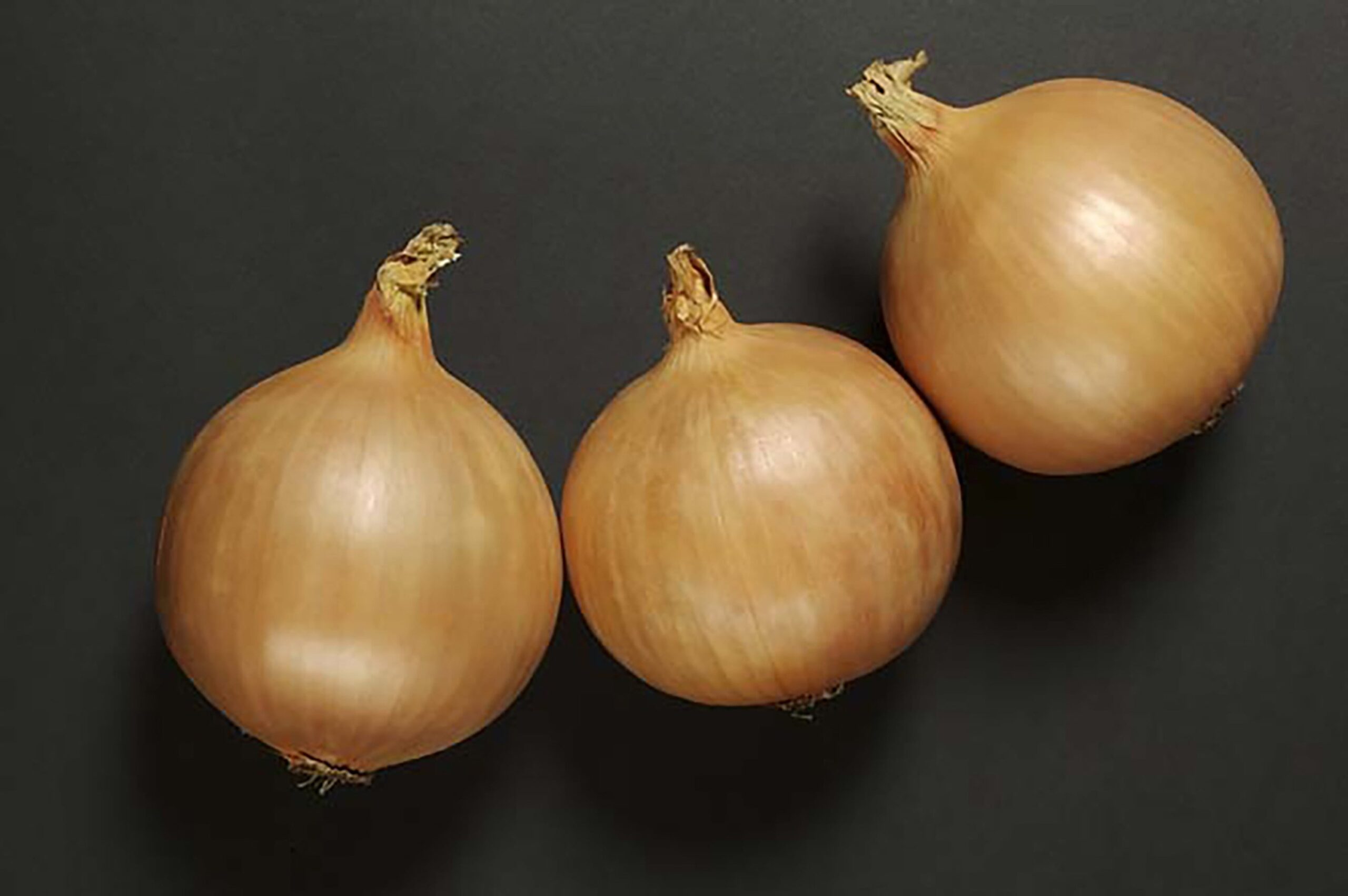 OnionVentoHAZ-scaled-1.jpg