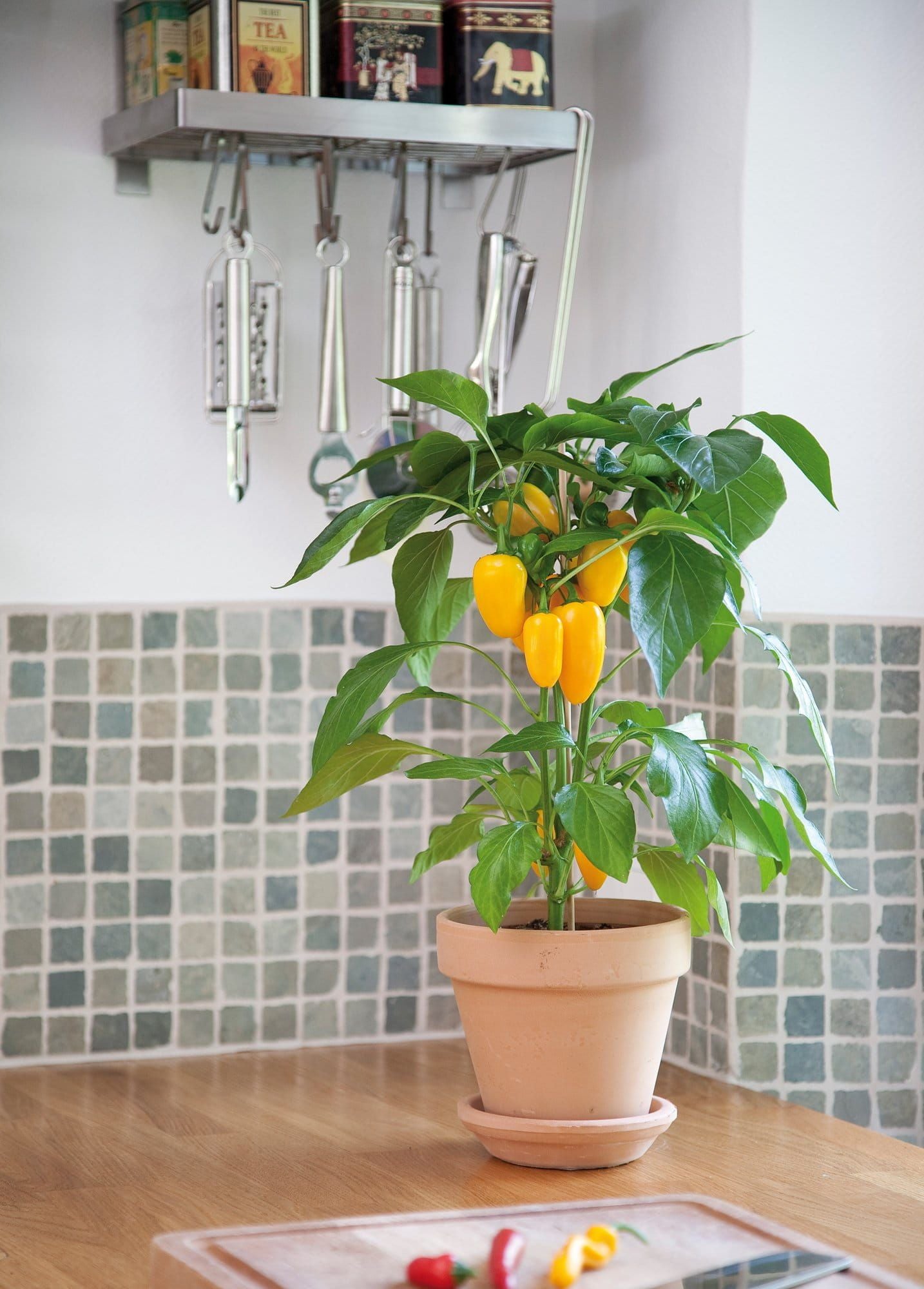 Pepper_Snack_Yellow_02_comp_8be30fff-6f2b-4b7c-85dd-51c2cd4b3523.jpg