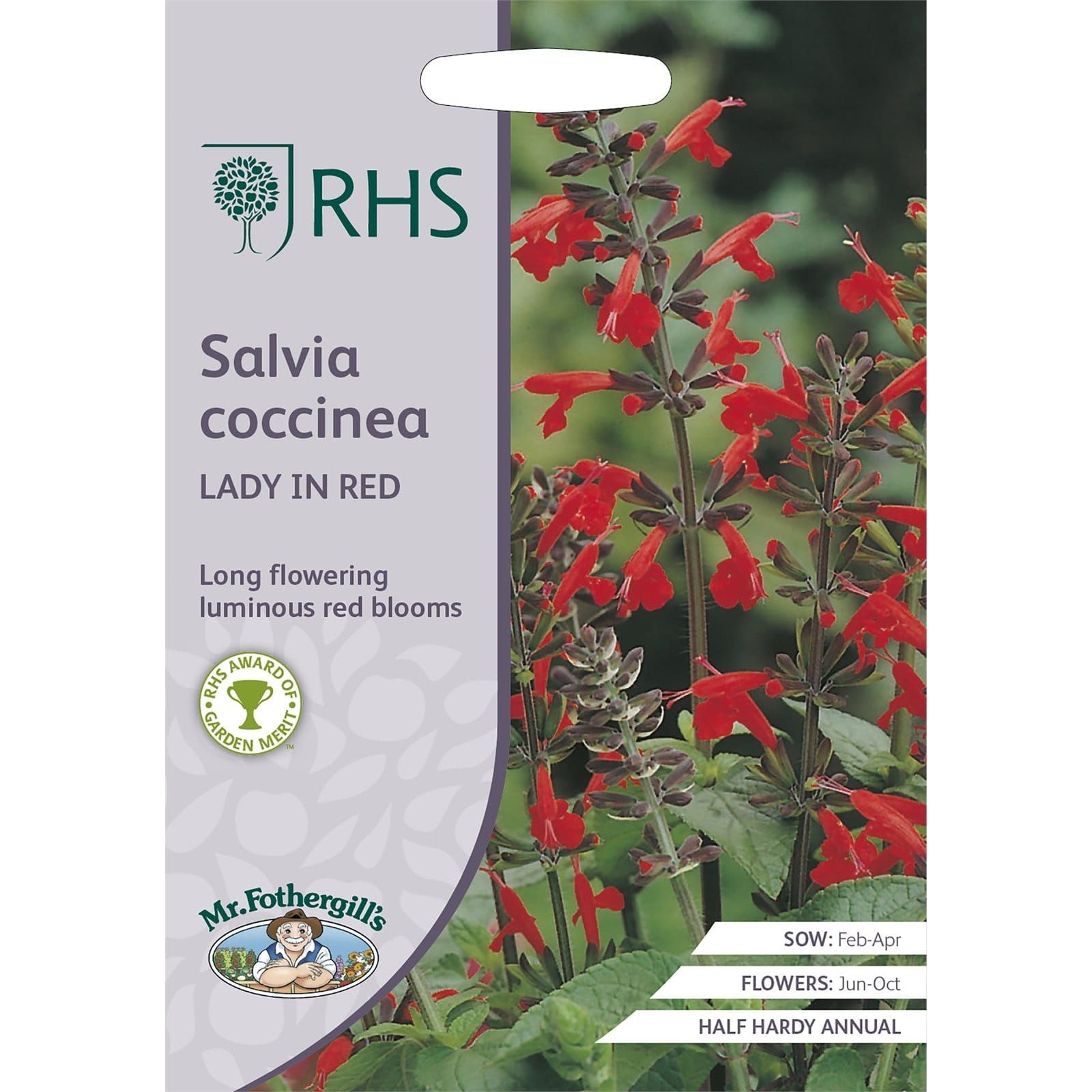 RHS_Salvia_Coccinea_Lady_In_Red_comp_f02ede74-3adb-4f97-a945-d14043b5ae67.jpg