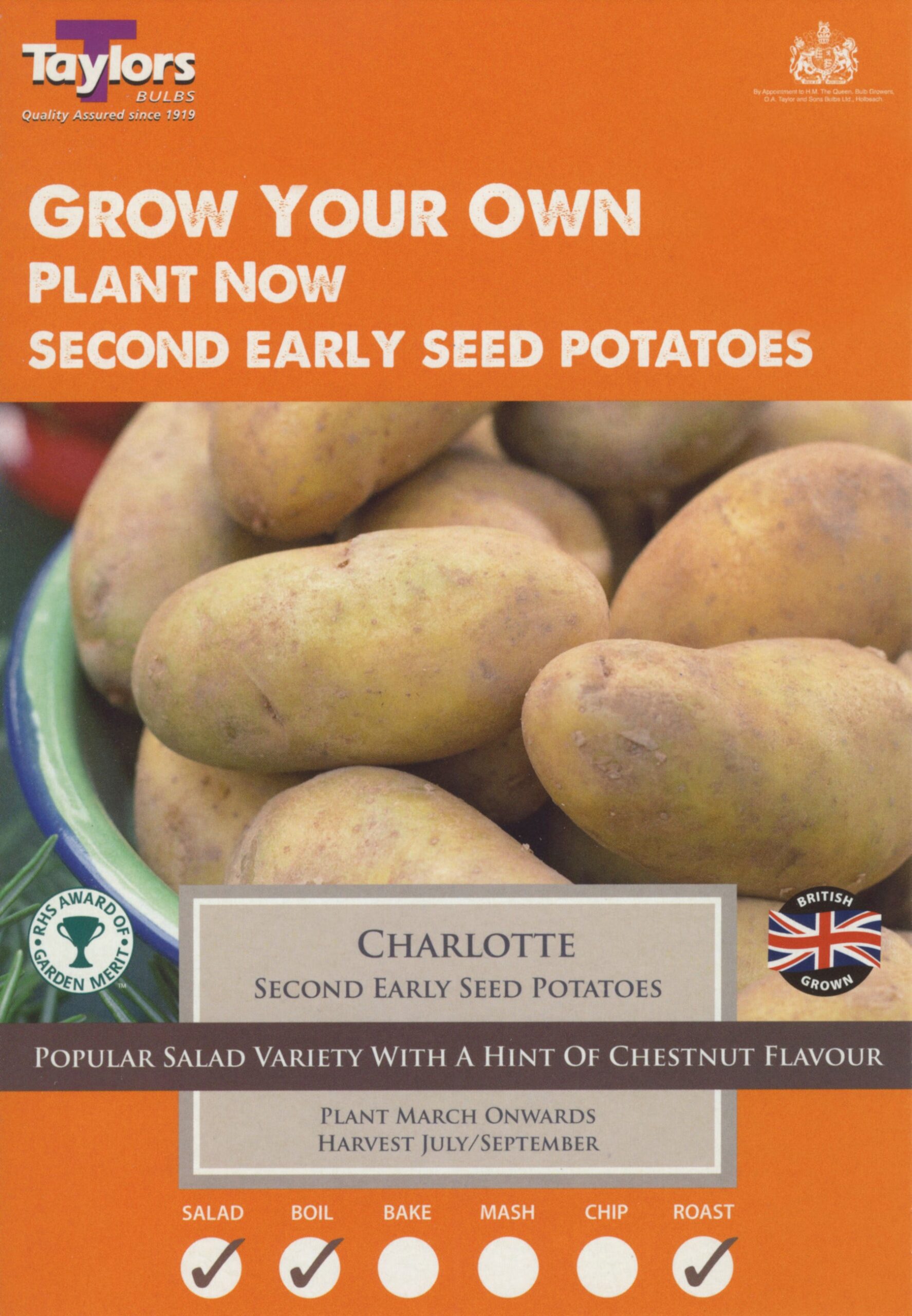 VP440Charlotte-scaled-1.jpg