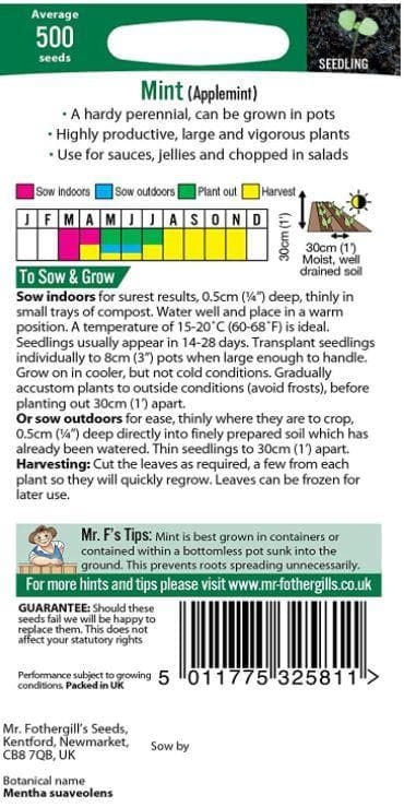 applemint_comp_45c445a1-5d22-4188-b21e-eb3469f8f36b.jpg