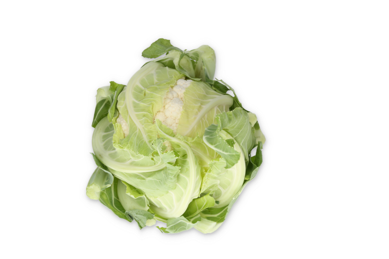 bauch2.png