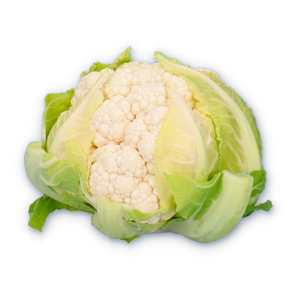bouch4.jpg
