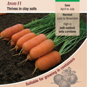 Kings Seeds Carrot Attilo F1 - 400 Seeds