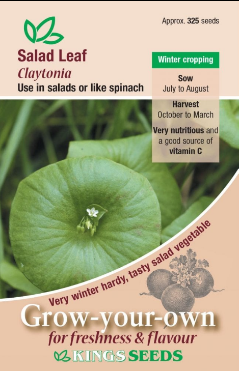 claytonia.png