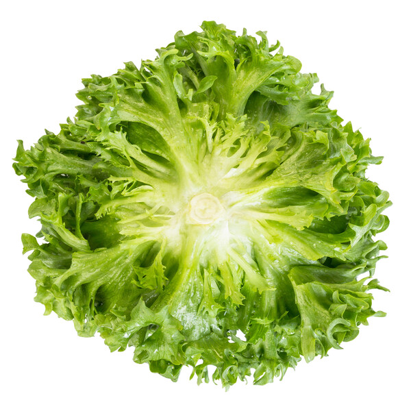 dunand3.png