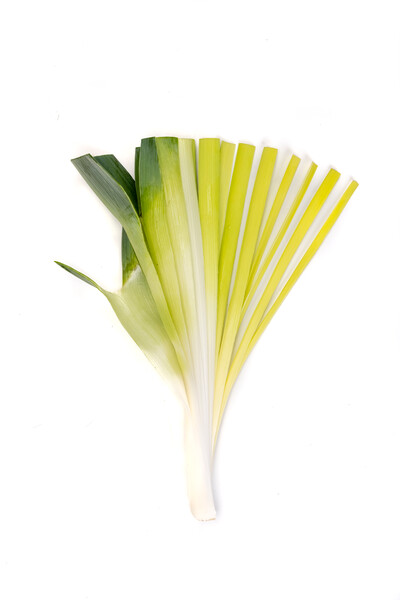 floc2.png
