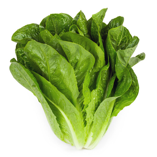 keon2.png