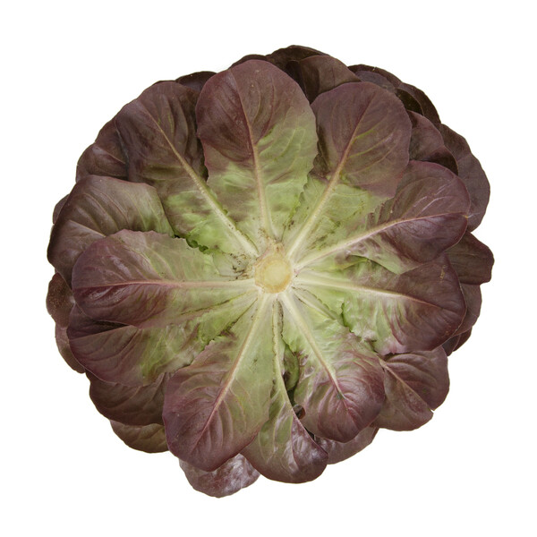 klim3.png