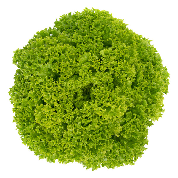 limas1.png