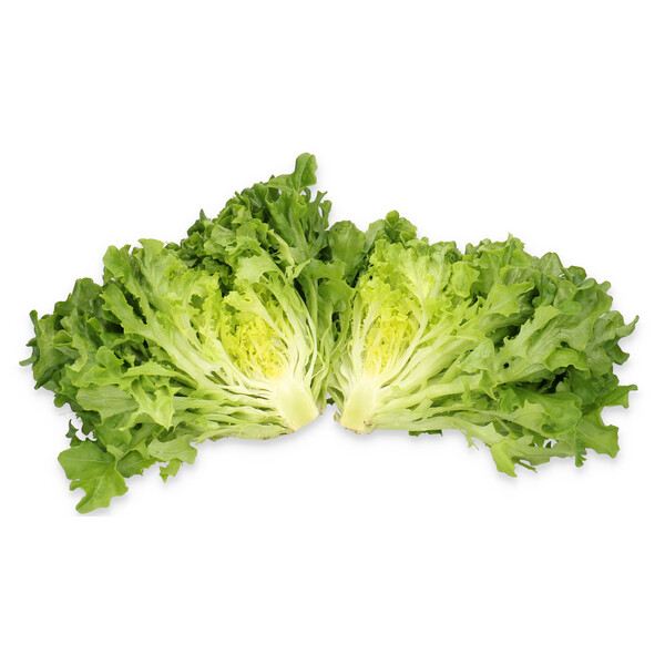 mist2.png