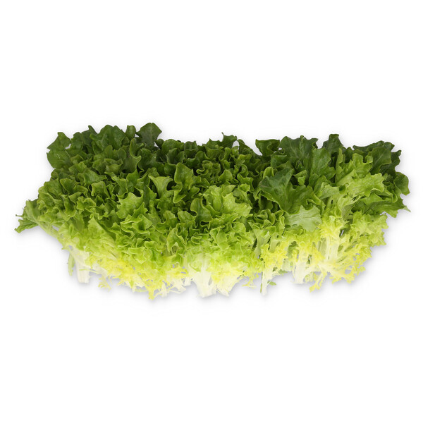 mist3.png