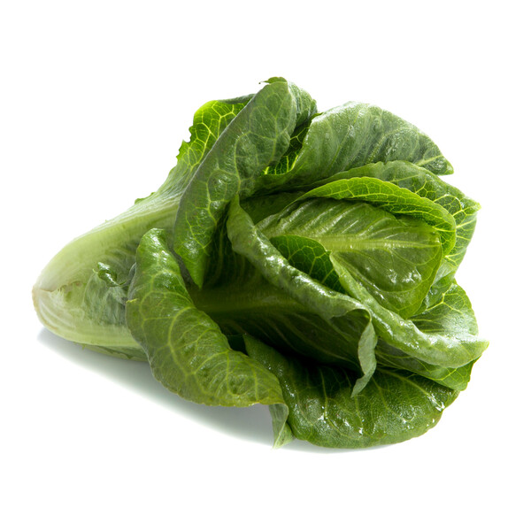 neur1.png