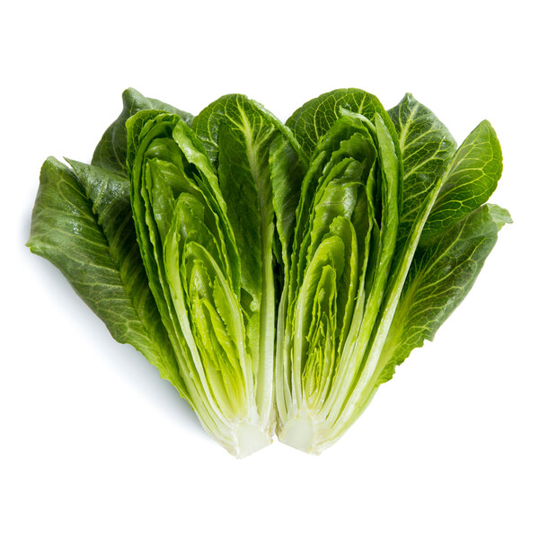neur2.png