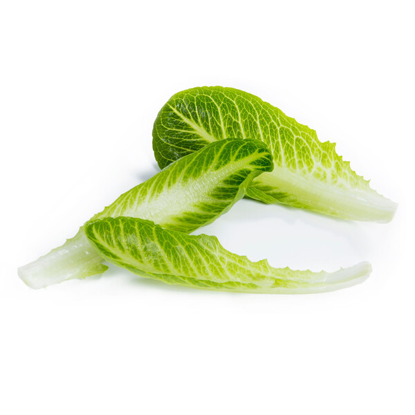 neur3.png