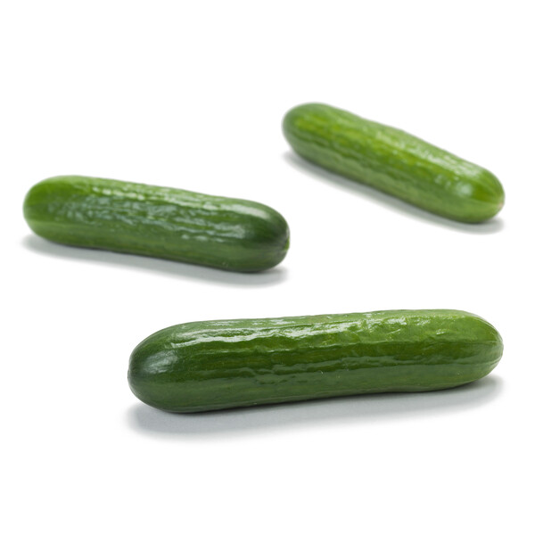pico2.png