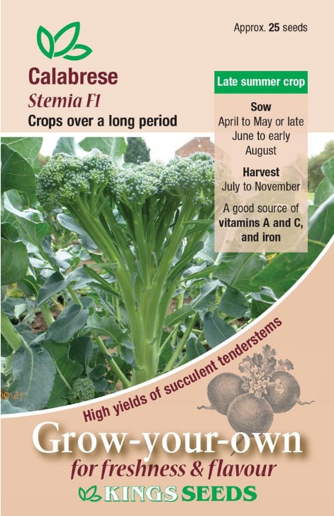stemia.png